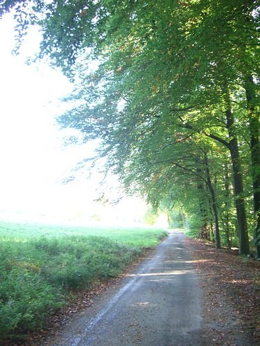 Weiter nach Grünwettersbach