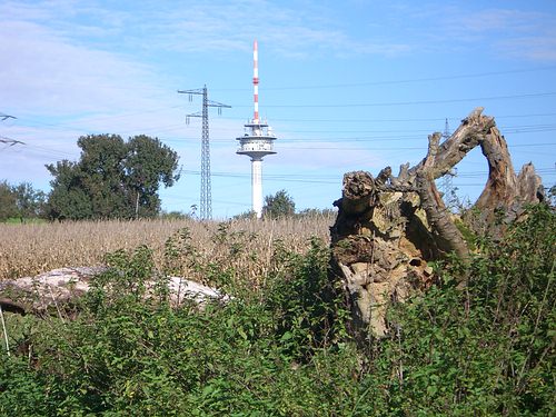 Funkturm Grünwettersbach