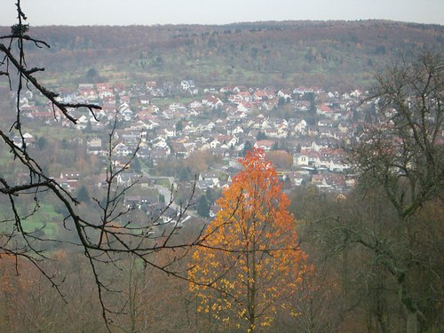 Herbstlicher Baum vor Sllingen