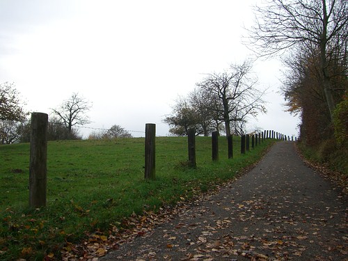 Bergauf entlang der Weide