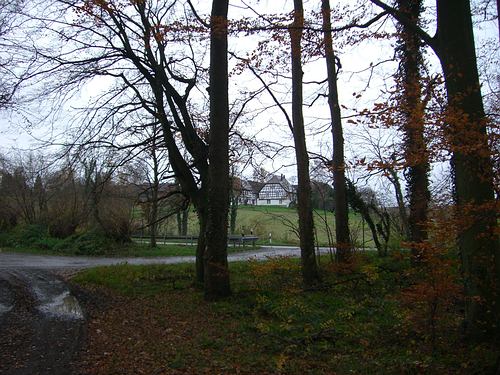 Waldparkplatz beim Lamprechtshof