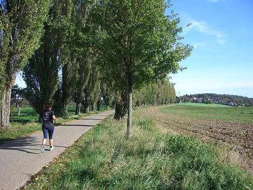 Auf der Pappelallee ischs immer schee