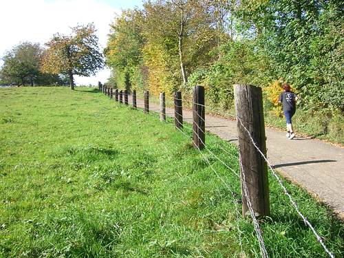 Die Kuhweide ist heute leer