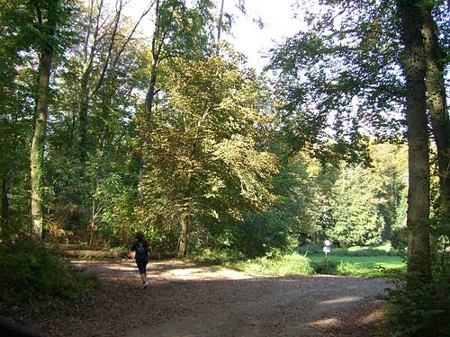 Beim Durchgangverbots-Schild links ab in den Wald