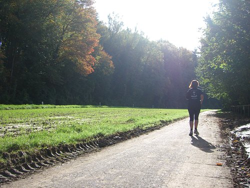 Neben der Rittnertstraße Richtung Stupferich