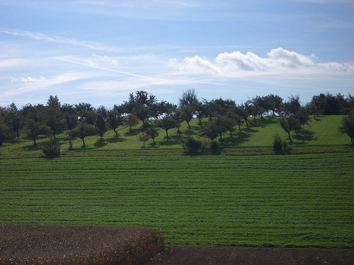 Wiesen und Felder bei Hohenwettersbach