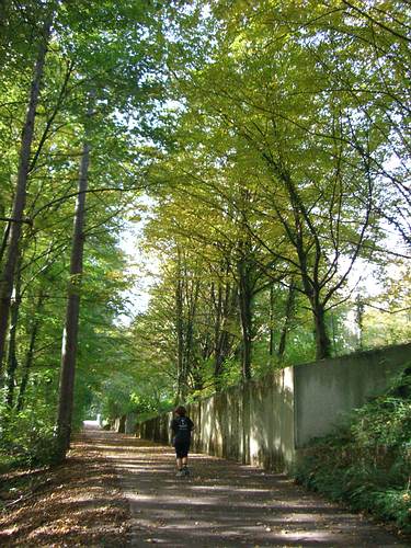 Vorbei an der Grundschule der Bergwald-Siedlung