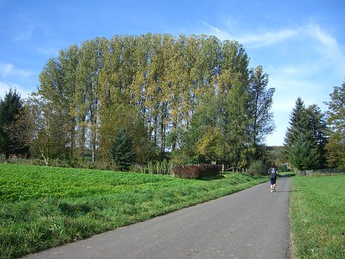 Auf dem Weg zum Bampihof