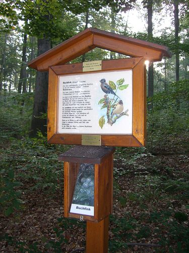 Vogellehrpfad Stupferich