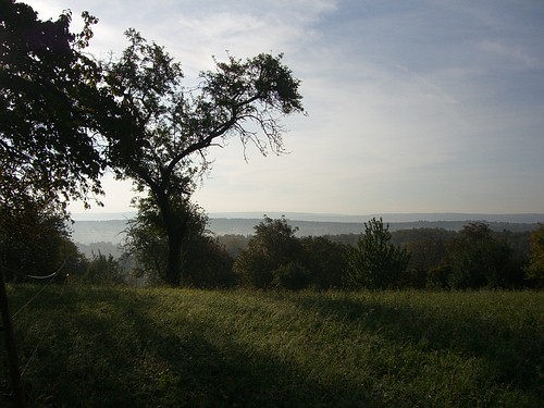 Blick Richtung Mutschelbach