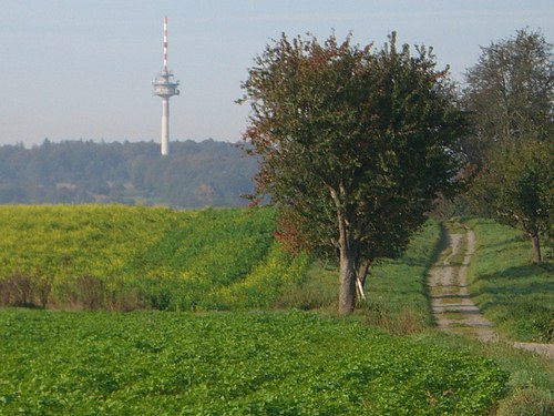 Richtung Hohenwettersbach