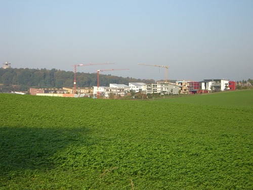Fünfzig Morgen