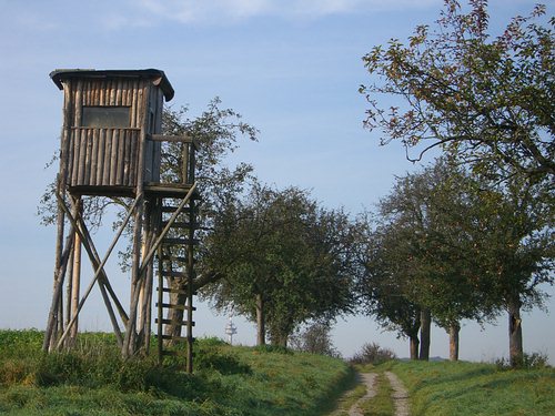 Ausguck auf dem Weg nach Hohenwettersbach