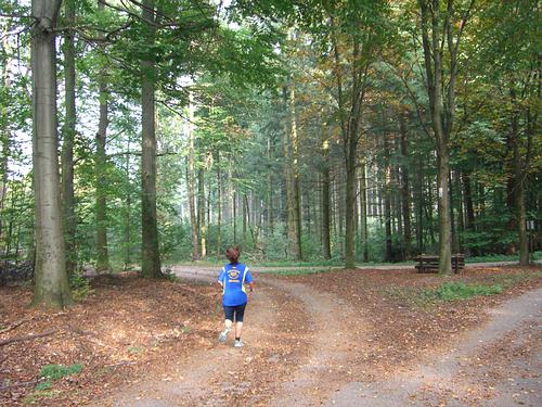 Links ab zum Fallbrunnenweg