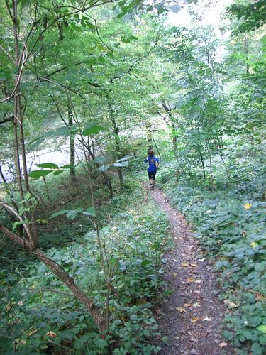 Single Trail zum Fallbrunnen