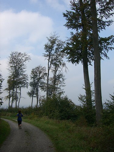 Oberer Saumweg